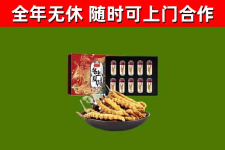 宜宾回收冬虫夏草价格
